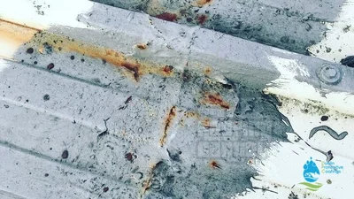 Rust and corrosion damage on metal roof panels requiring treatment