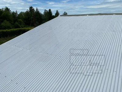 Fully waterproofed metal roof with seamless protective membrane